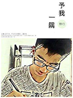 乐高都市卧底风云